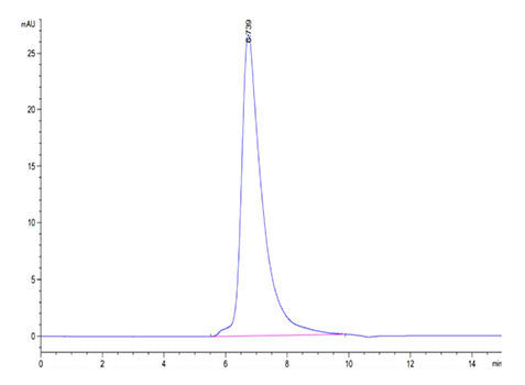 Recombinant Cynomolgus TNFRSF1B/TNF-R2/CD120b Protein