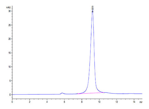 Recombinant SARS-CoV-2 Spike RBD(B.1.640.2/IHU) Protein