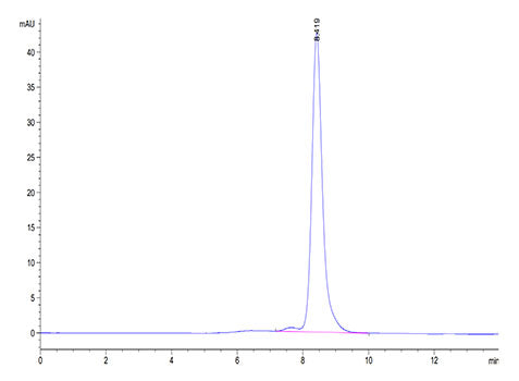 Recombinant Mouse Calcitonin/CALCA Protein