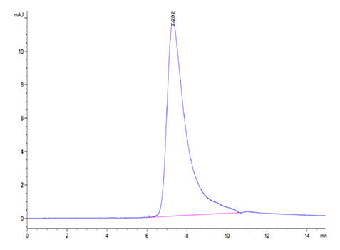 Recombinant Human GFR alpha-like/GFRAL Protein