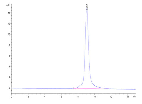 Recombinant Mouse GFR alpha-like/GFRAL Protein