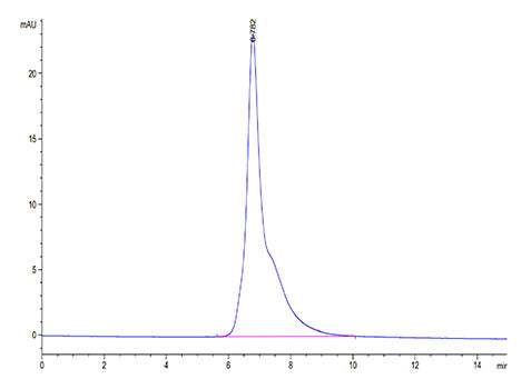 Recombinant Cynomolgus CD3 epsilon/CD3E Protein