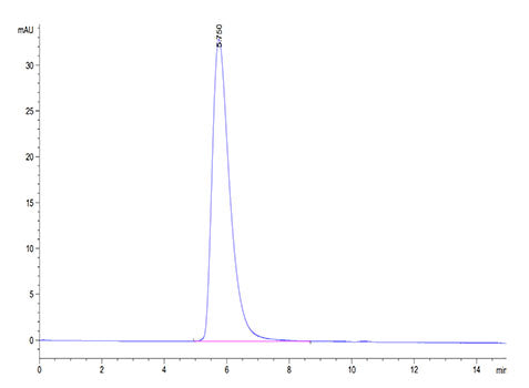 Recombinant Cynomolgus ACE-2 Protein