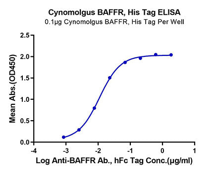 Recombinant Cynomolgus TNFRSF13C/BAFFR/CD268 Protein
