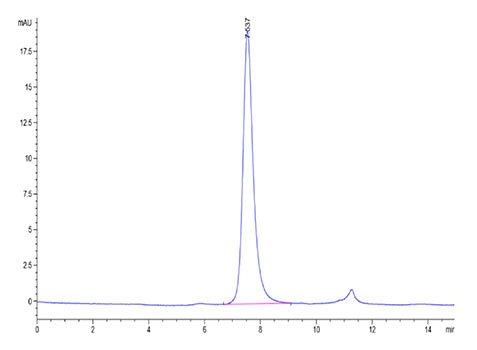Recombinant Cynomolgus TNFRSF5/CD40 Protein