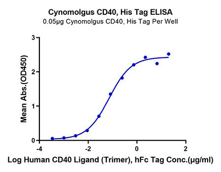 Recombinant Cynomolgus TNFRSF5/CD40 Protein
