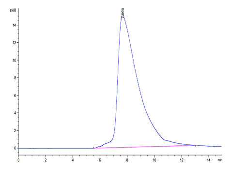 Recombinant Human KP43/KLRD1/CD94 Protein