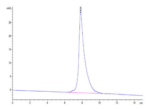 Recombinant Cynomolgus CD3 epsilon/CD3E Protein