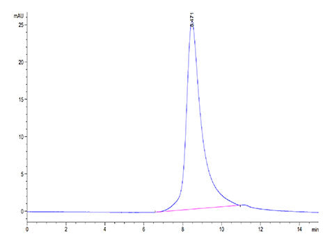 Recombinant SARS-COV-2 Spike RBD (N501Y,K417N,E484K) Protein