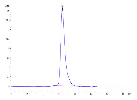 Recombinant SARS-COV-2 Spike S1 NTD Protein