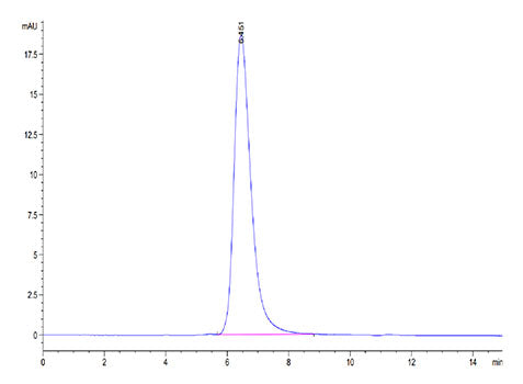Recombinant SARS-COV-2 Spike S1 (N501Y) Protein