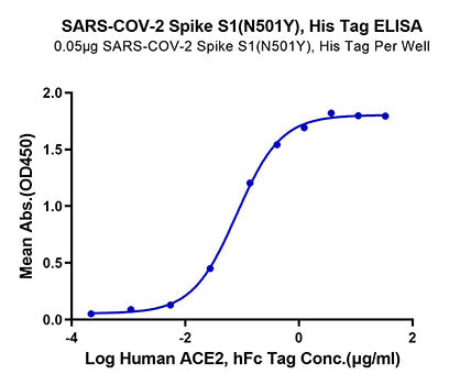 Recombinant SARS-COV-2 Spike S1 (N501Y) Protein