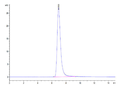 Recombinant SARS-COV-2 Spike RBD  Protein