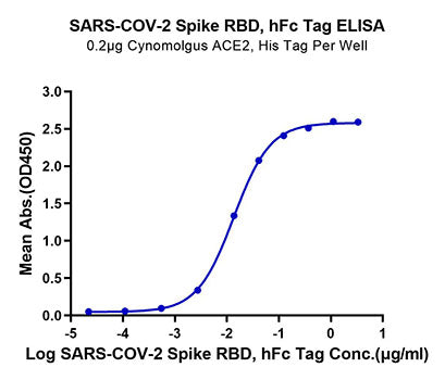 Recombinant SARS-COV-2 Spike RBD  Protein