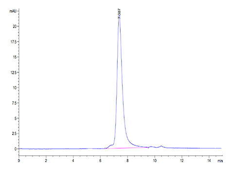 Biotinylated Recombinant SARS-COV-2 Spike RBD  Protein