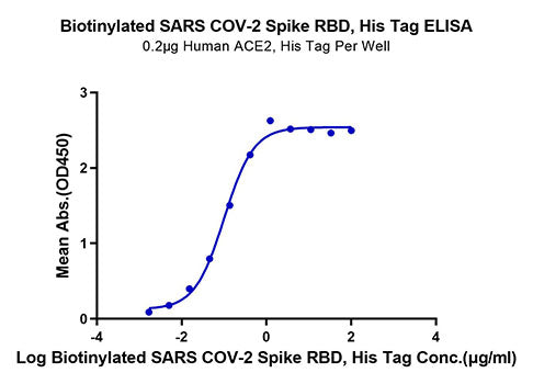 Biotinylated Recombinant SARS-COV-2 Spike RBD  Protein