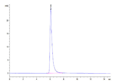 Recombinant SARS-COV-2 Spike S1+S2 ECD(S-ECD)(D614G) Trimer Protein