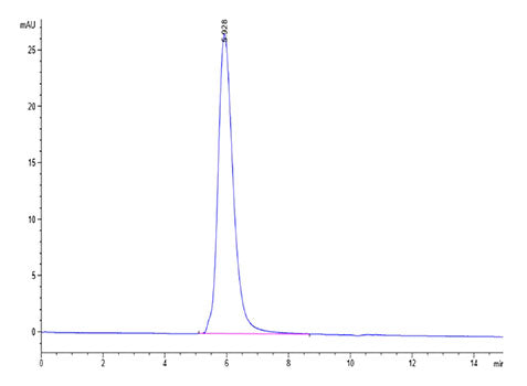 Biotinylated Recombinant SARS-COV-2 Spike S1 Protein
