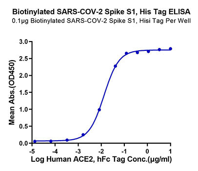 Biotinylated Recombinant SARS-COV-2 Spike S1 Protein