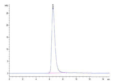 Recombinant SARS-COV-2 Spike S1(D614G) Protein