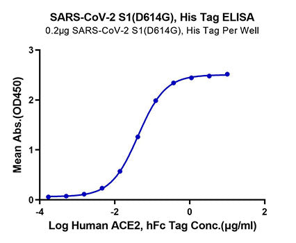 Recombinant SARS-COV-2 Spike S1(D614G) Protein