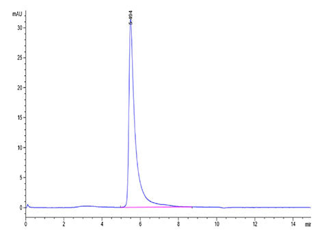 Recombinant SARS-COV-2 Spike S1 Protein