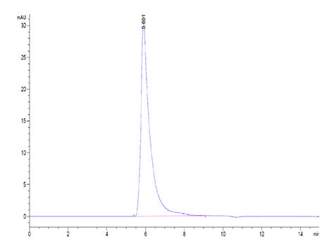Recombinant Human Integrin alpha 5 beta 1 (ITGA5&ITGB1) Heterodimer Protein