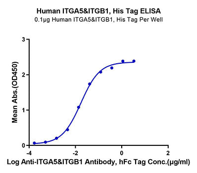 Recombinant Human Integrin alpha 5 beta 1 (ITGA5&ITGB1) Heterodimer Protein