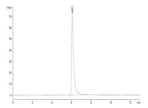 Recombinant Human ITGAV/CD51&ITGB3/CD61 Protein