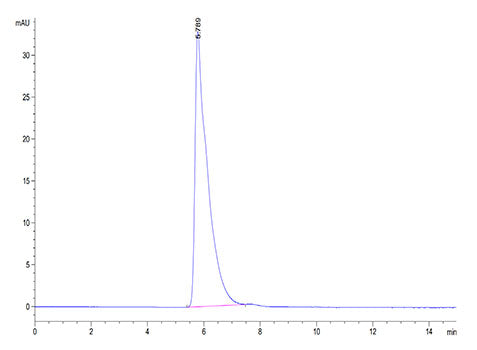Recombinant Human Integrin alpha V beta 5 (ITGAV&ITGB5) Protein