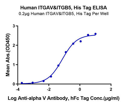 Recombinant Human Integrin alpha V beta 5 (ITGAV&ITGB5) Protein