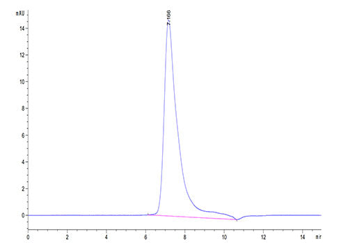 Recombinant Cynomolgus Mesothelin/MSLN  Protein