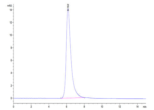 Recombinant Cynomolgus Mesothelin/MSLN Protein
