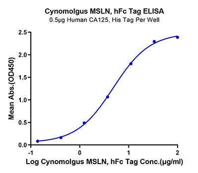 Recombinant Cynomolgus Mesothelin/MSLN Protein