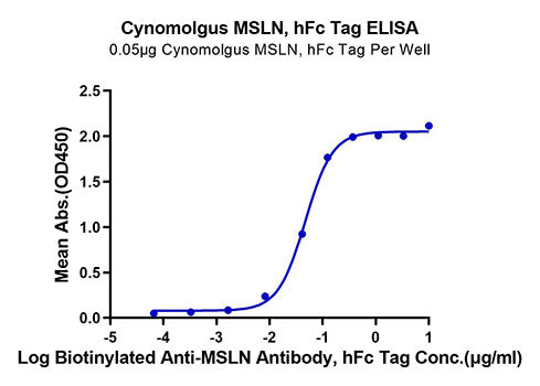 Recombinant Cynomolgus Mesothelin/MSLN Protein