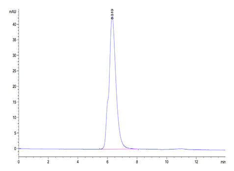 Recombinant Human NKG2A&KLRD1/CD159a&CD94 Protein