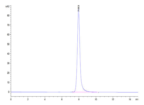 Recombinant Human NKG2A&KLRD1/CD159a&CD94 Protein