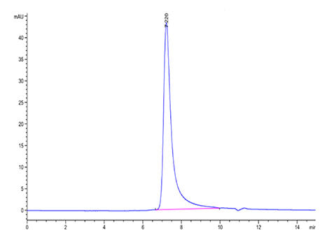 Recombinant Human NKG2A&KLRD1/CD159a&CD94 Protein