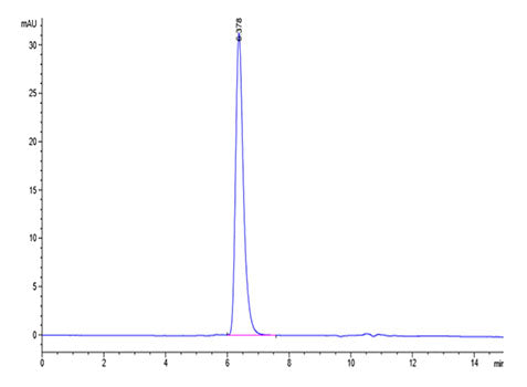 Recombinant Human Notch 1 Protein