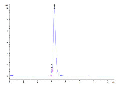 Recombinant Cynomolgus B7-H1/PD-L1/CD274 Protein