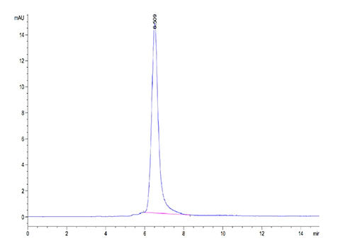 Recombinant Human ROR2 Protein