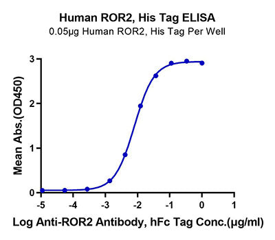 Recombinant Human ROR2 Protein