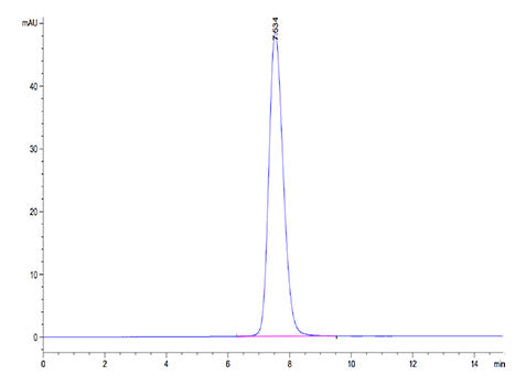 Recombinant Human FGFR-2 beta (IIIb)/KGFR/CD332 (253-378) Protein