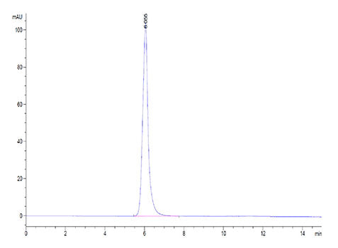 Recombinant Human FGFR-2 alpha (IIIb)/KGFR/CD332 Protein
