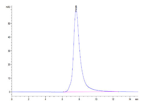 Recombinant Human FGFR-2 beta (IIIb)/KGFR/CD332 Protein