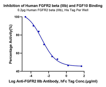 Recombinant Human FGFR-2 beta (IIIb)/KGFR/CD332 Protein
