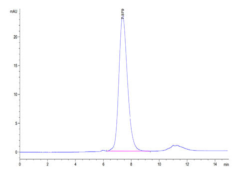 Recombinant Human FGFR-2 beta (IIIc)/KGFR/CD332 Protein