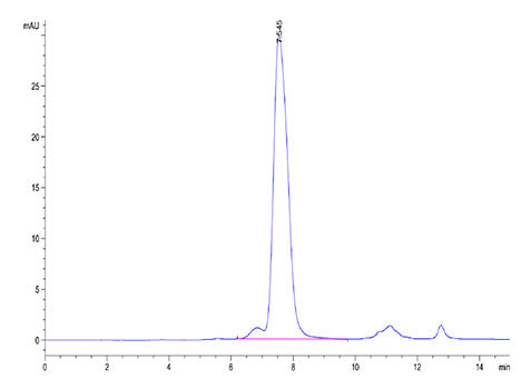 Recombinant Human FGFR-2 alpha (IIIb)/KGFR/CD332 Protein