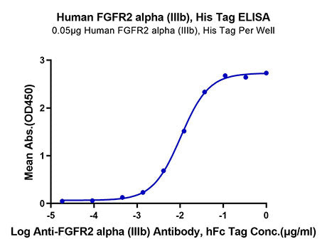 Recombinant Human FGFR-2 alpha (IIIb)/KGFR/CD332 Protein