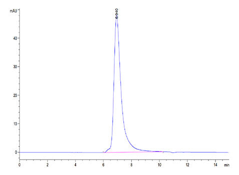 Recombinant Human FGFR-2 alpha (IIIc)/KGFR/CD332 Protein